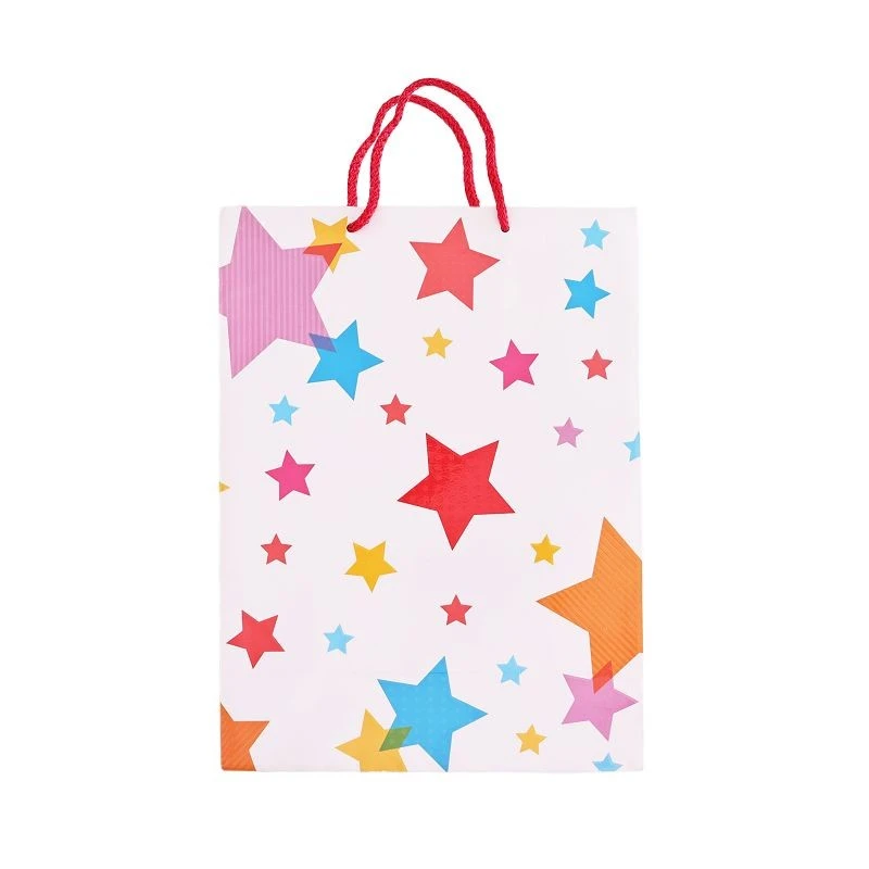 Colorful Patterned Paper Gift Bags best